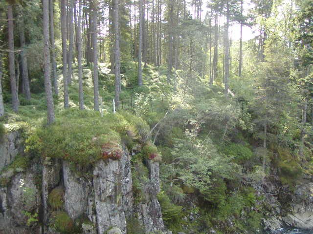 Glen nearby